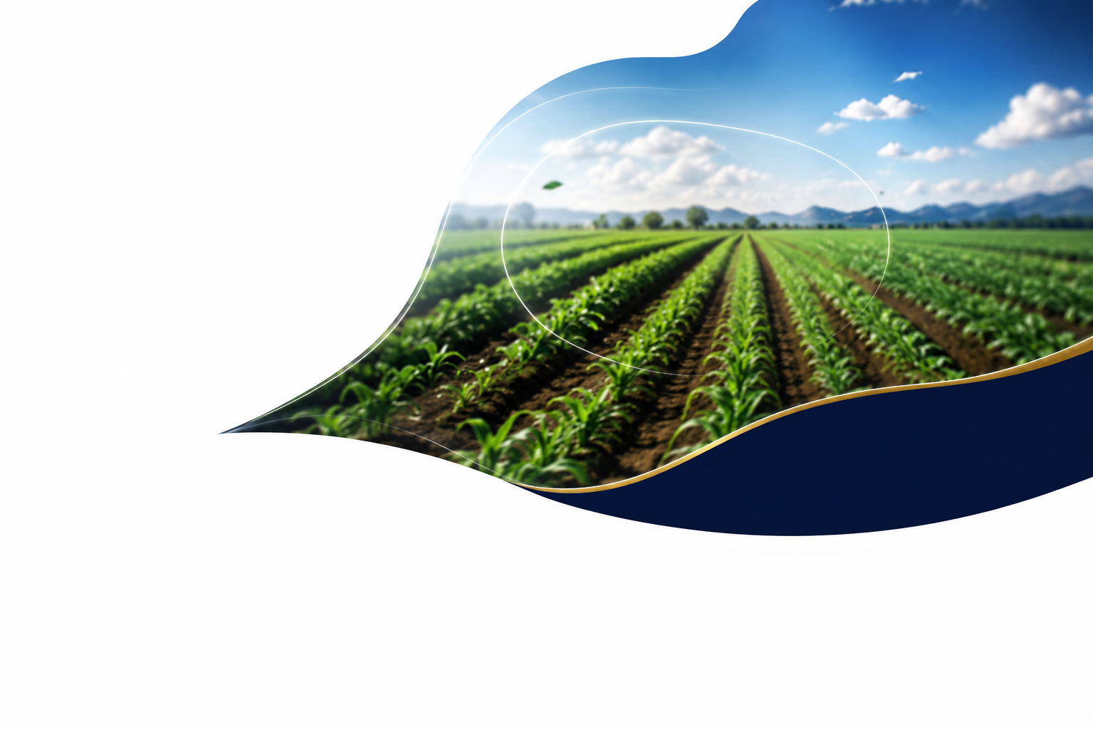 Green Era Agriculture