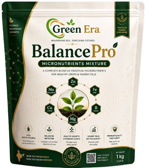 BalancePro