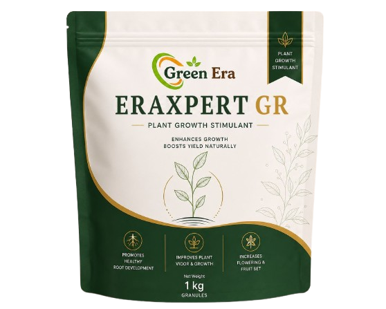 Eraxpert GR