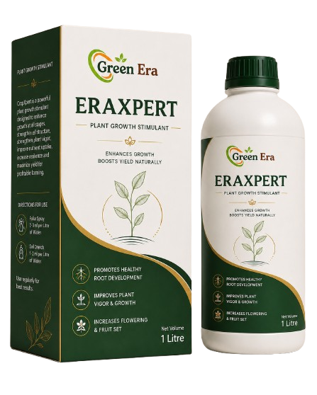 Eraxpert