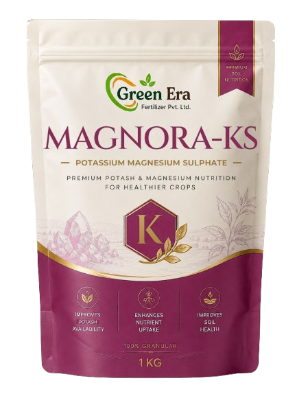 Magnora-KS