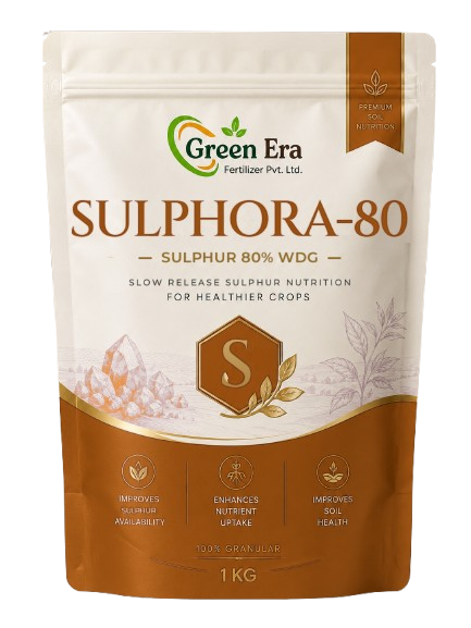 Sulphora-80