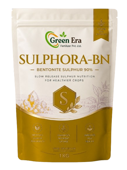 Sulphora-BN